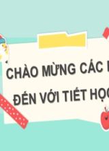 Bài giảng Toán Lớp 7 (Sách Chân trời sáng tạo) - Chương 2 - Tiết 16, Bài 1 Số vô tỉ. Căn bậc hai số học - Năm học 2022-2023